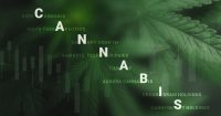 Cannabis Index